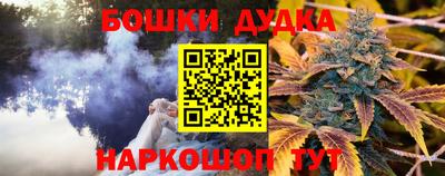 ГАЛЛЮЦИНОГЕННЫЕ ГРИБЫ Свободный