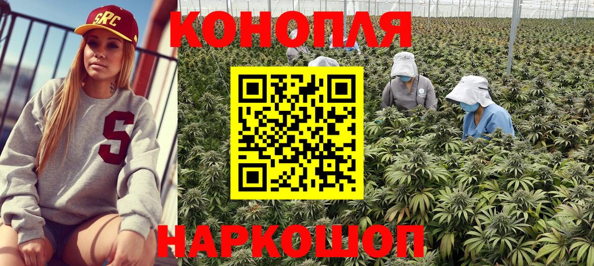 Бошки Шишки тримм Оренбург